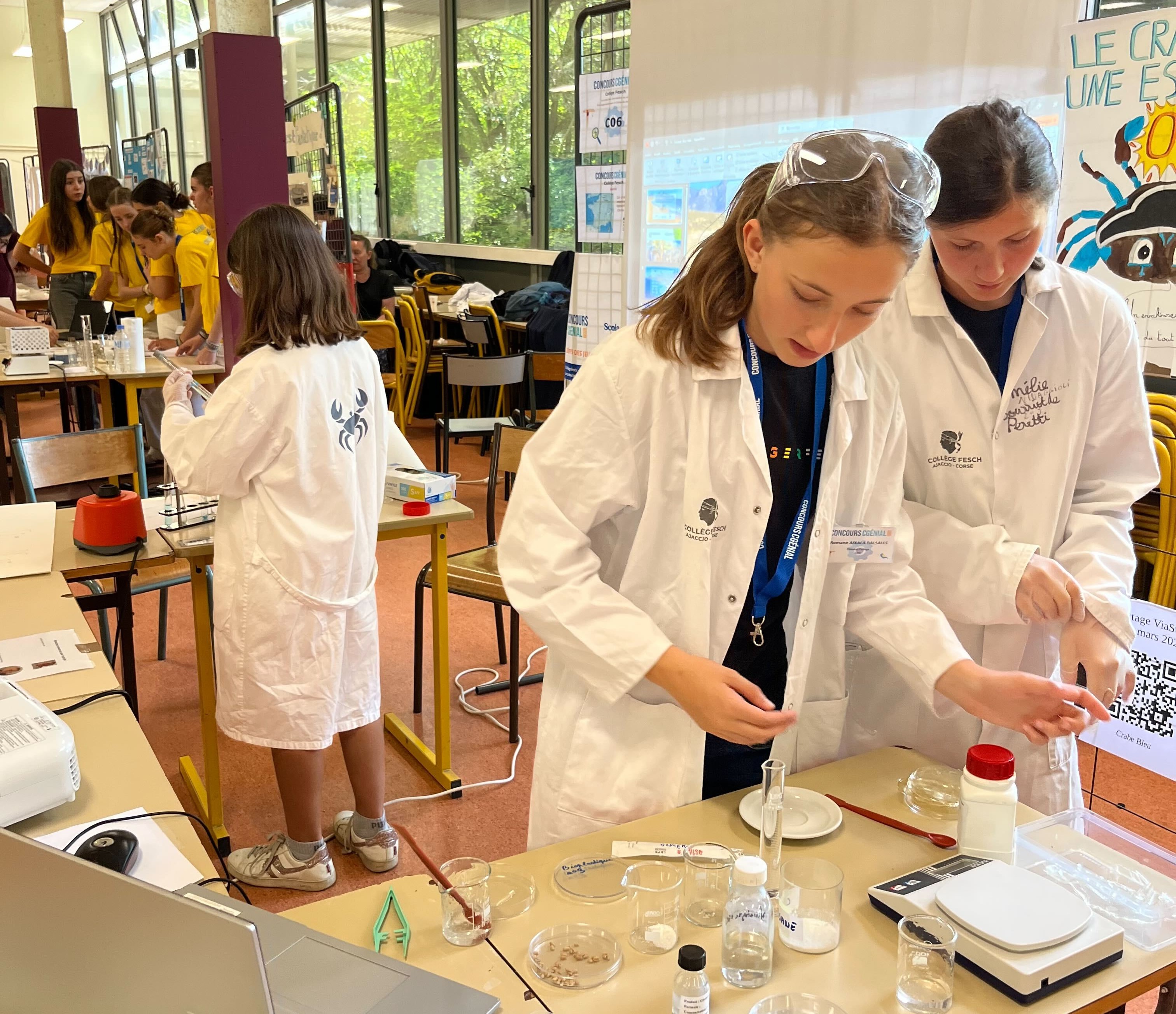 Collège Fesch - CCG26 Elèves en blouse blanche de laboratoire du Collège Fesch de Corse réalisant des expériences scientifiques sur le crabe bleu avec des béchers et une balance pour le Concours CGénial